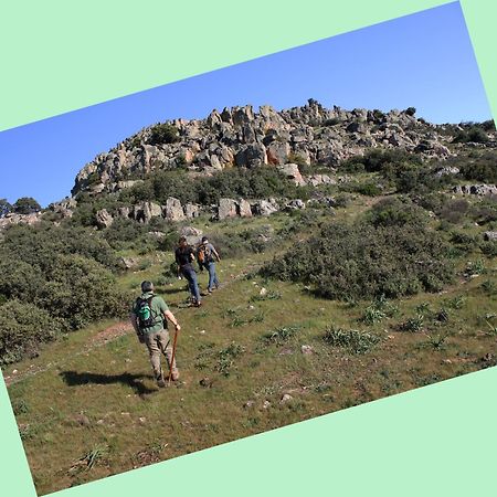Complejo Turistico Rural Fuente Taray Apartment Malagon Bagian luar foto