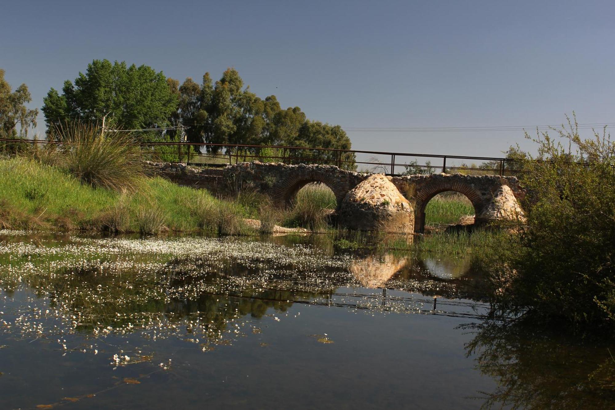 Complejo Turistico Rural Fuente Taray Apartment Malagon Bagian luar foto
