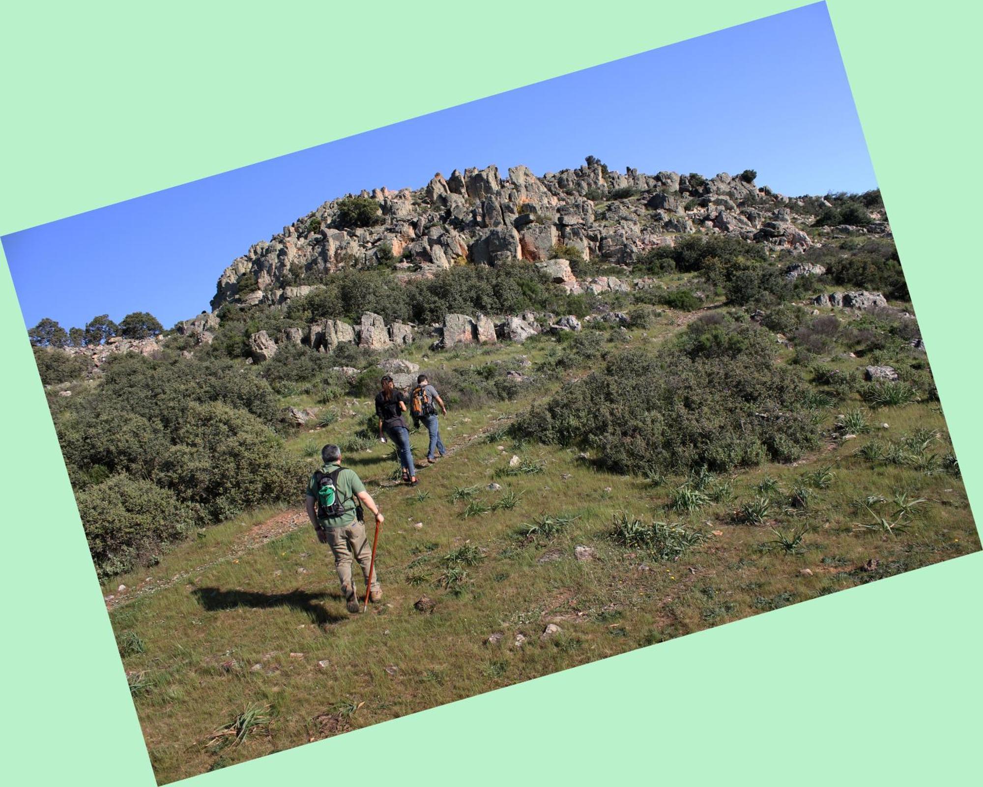Complejo Turistico Rural Fuente Taray Apartment Malagon Bagian luar foto