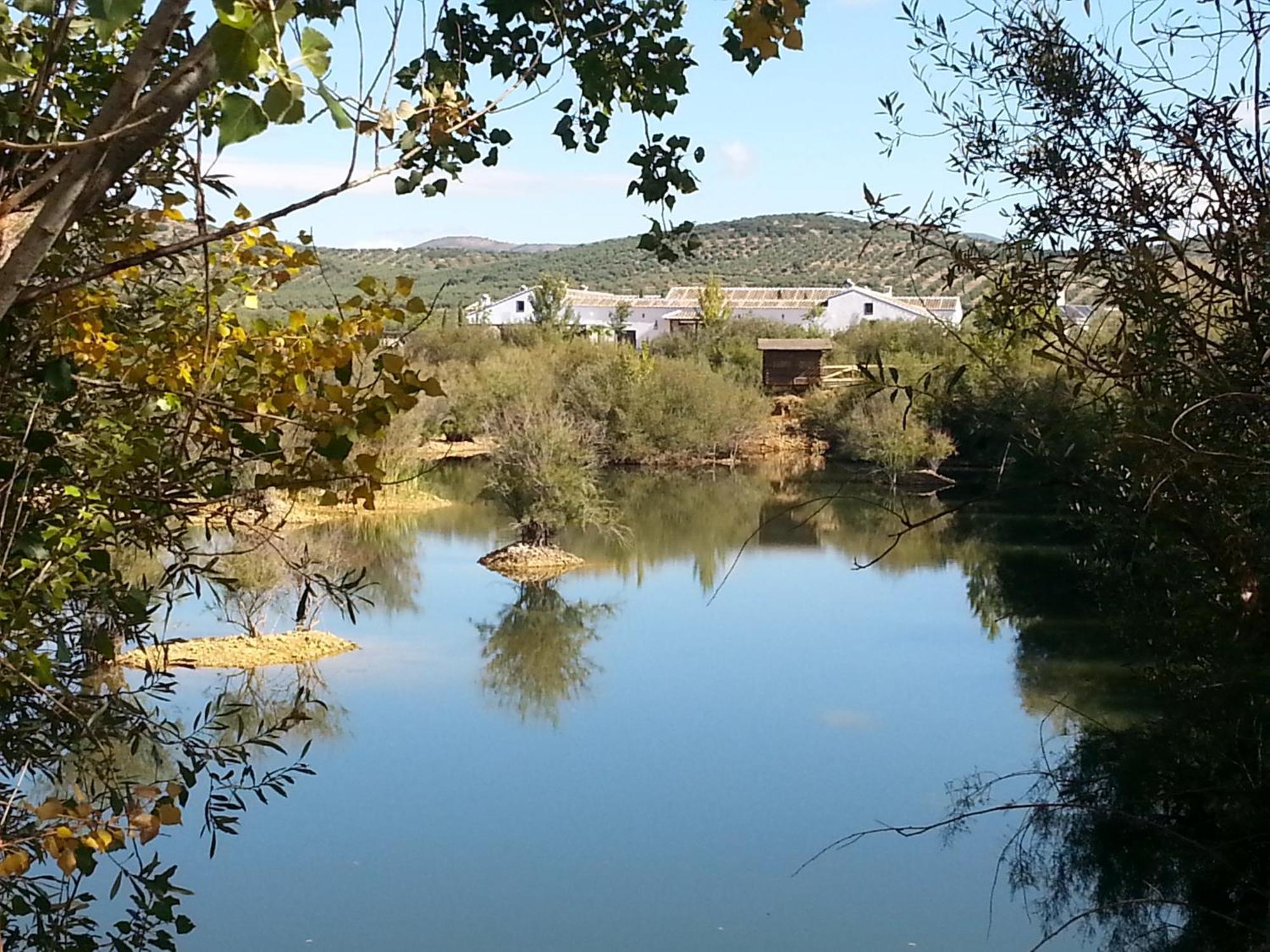 Complejo Turistico Rural Fuente Taray Apartment Malagon Bagian luar foto